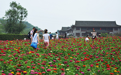 花舞人间第 81 张图片