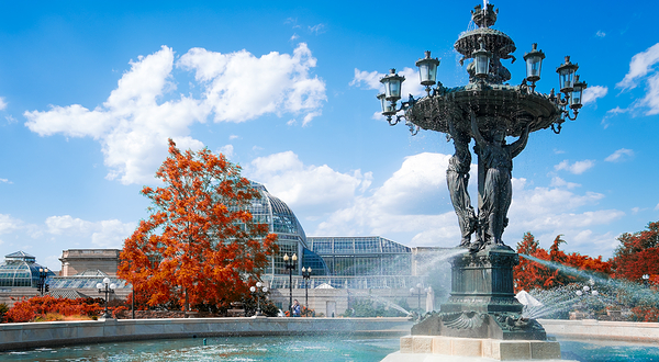 美国国家植物园