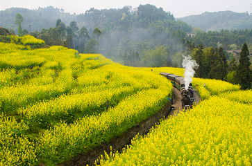 嘉阳桫椤湖旅游景区第 7 张图片