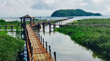 海陵岛第 26 张图片