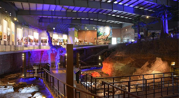 汝阳恐龙化石群国家地质公园