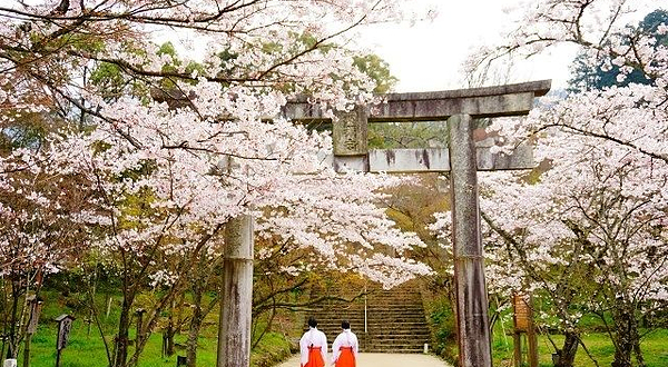 宝满宫 灶门神社