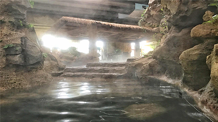 水师森林公园第 22 张图片