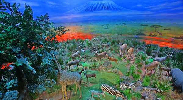 横店圆明新园·皇家实景动物王国