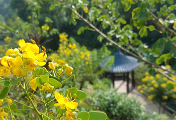 梅岭太阳谷第 30 张图片