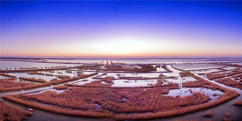 高邮湖芦苇荡湿地公园第 8 张图片