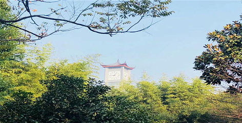 双沟酒文化旅游区第 20 张图片