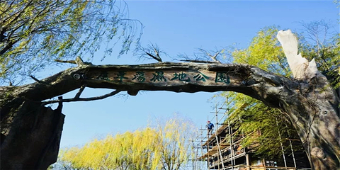 高邮湖芦苇荡湿地公园第 24 张图片