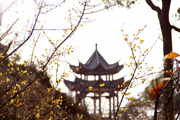 梅岭太阳谷第 32 张图片