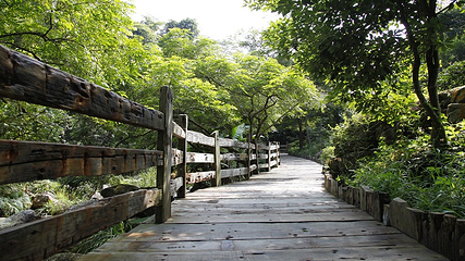 雁南飞茶田景区-桥溪古韵第 9 张图片