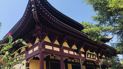 金莲湖景区-莲音寺第 1 张图片