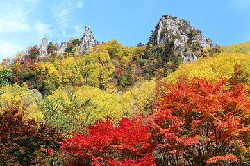 大雪山国立公园第 11 张图片