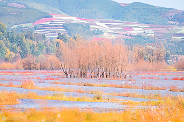 念湖第 7 张图片