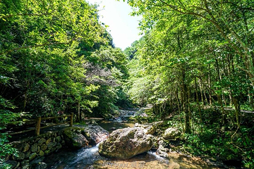 千佛山景区第 83 张图片