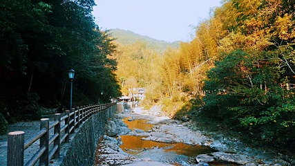 文成铜铃山森林公园景区第 14 张图片