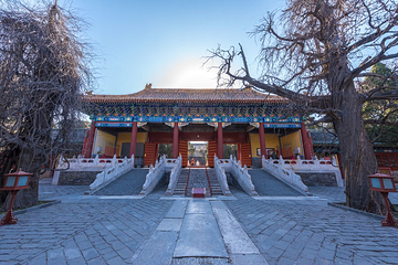 北京孔庙第 10 张图片