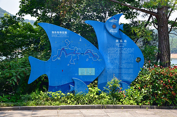 渔乐岛第 11 张图片