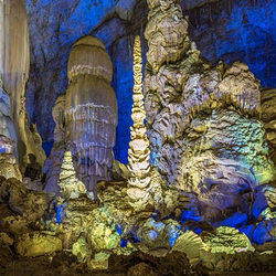织金洞国家重点风景名胜区-银雨树