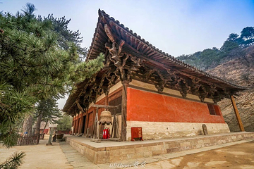 佛光寺第 10 张图片