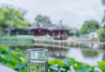 曾园赵园第 14 张图片