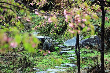 明月山花海原居第 27 张图片