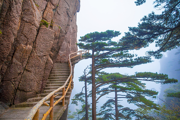 黄山风景区第 368 张图片