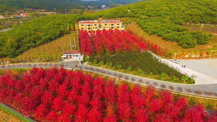 丹东馨艺度假山庄第 9 张图片