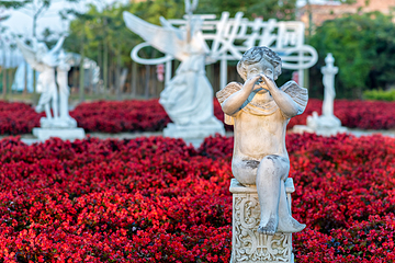 花都香草世界第 8 张图片