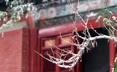 白马寺第 11 张图片