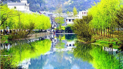 油杉河景区第 1 张图片