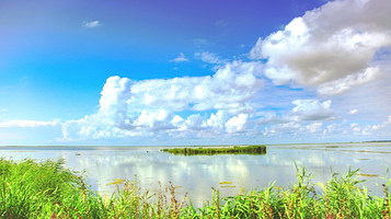 兴凯湖湿地公园