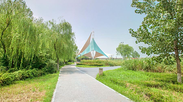 灞桥生态湿地公园