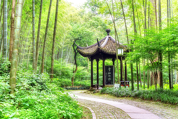 西湖风景名胜区第 436 张图片