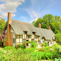 安妮·海瑟薇小屋