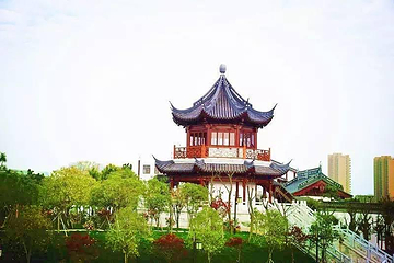 梅湖景区花博园第 1 张图片