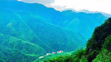九岭山森林公园第 1 张图片