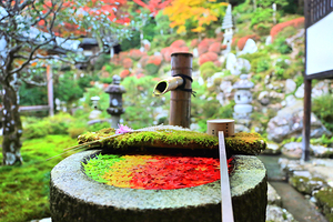 Yōkoku-ji Temple (Yanagidani Kannon)