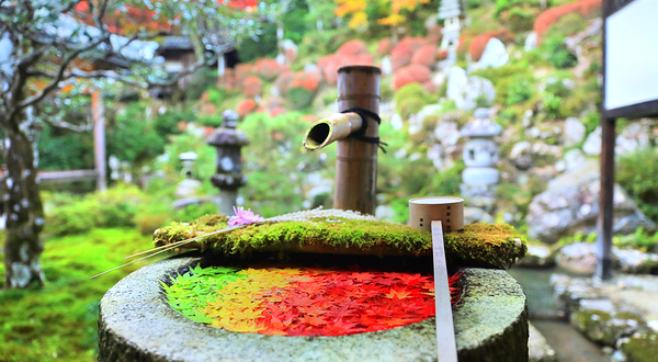 Yōkoku-ji Temple (Yanagidani Kannon)