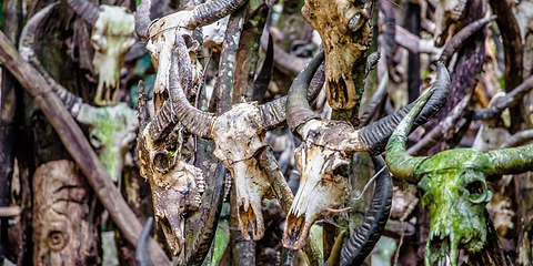 龙摩爷圣地第 7 张图片