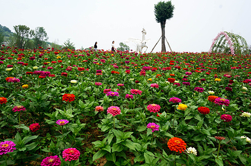 花舞人间第 94 张图片