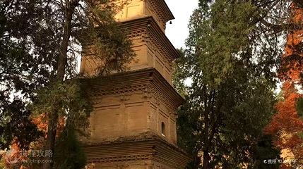 护国兴教寺第 2 张图片
