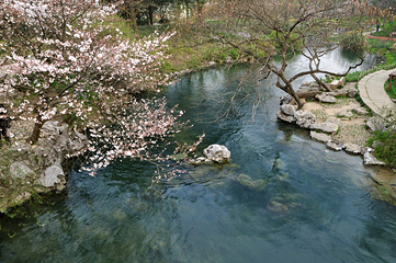 西湖风景区-太子湾公园第 14 张图片