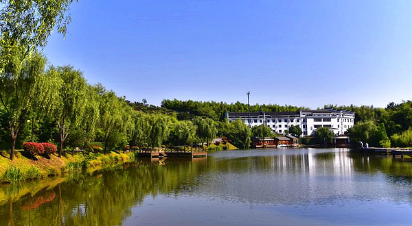 趣野天目湖自然营地