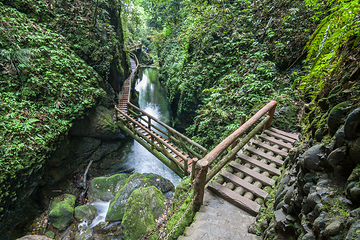 青城山第 25 张图片