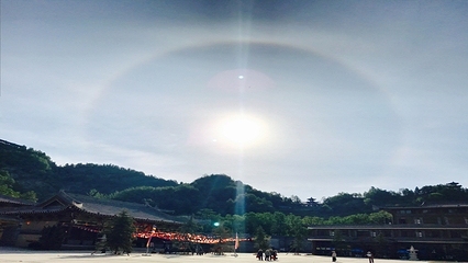 九龙山景区第 43 张图片