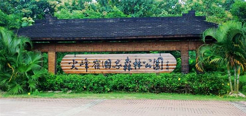 尖峰岭国家森林公园第 9 张图片