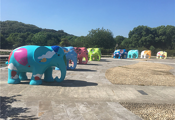 白马涧龙池景区第 18 张图片
