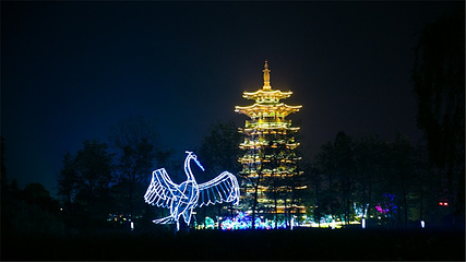 洋湖湿地公园第 31 张图片