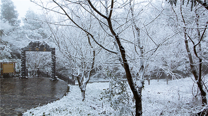 玉舍雪山滑雪场第 36 张图片