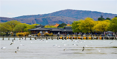三国水浒景区(中央电视台无锡影视基地)第 49 张图片